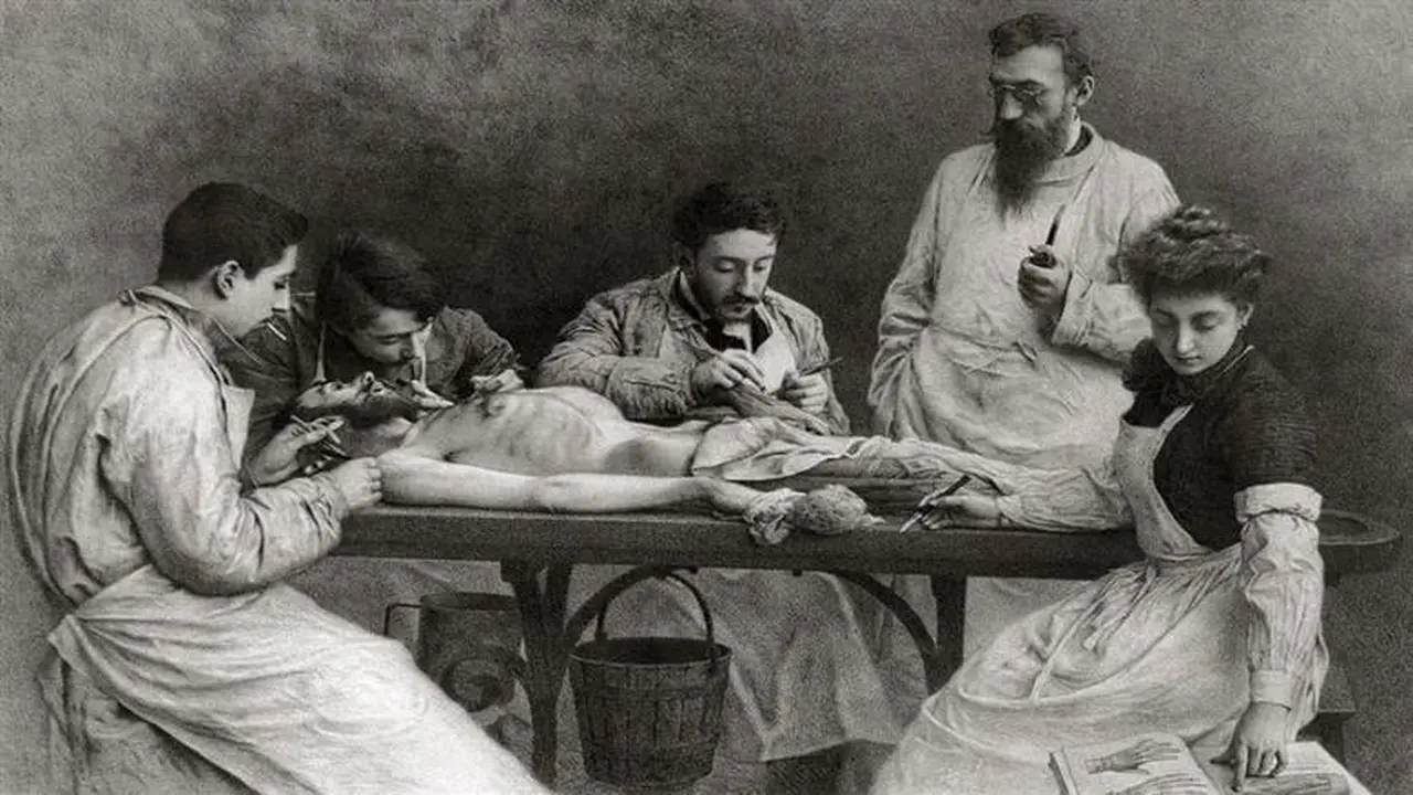 متحف التشريح في ميزون ألفور بباريس يتحول إلى وجهة رعب تجذب آلاف الزوار عبر عرض نادر لجثث بلا جلد